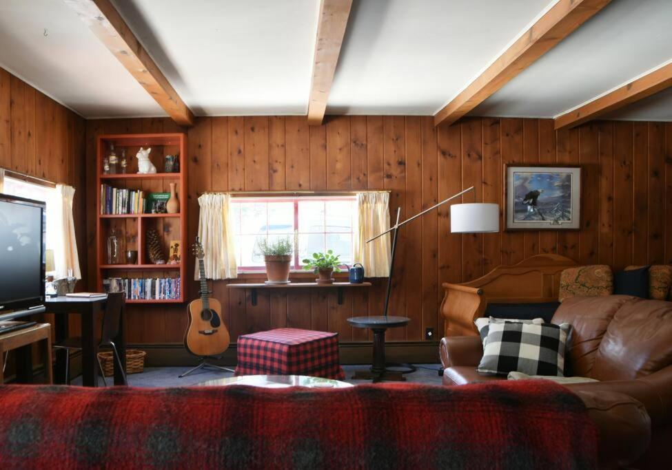 Panther Mountain Lodge Phoenicia Dış mekan fotoğraf